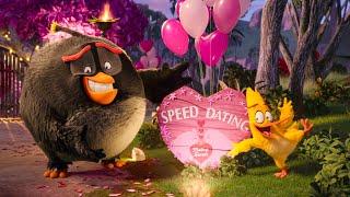 The Most Awkward Speed Dating | The Angry Birds Movie 2