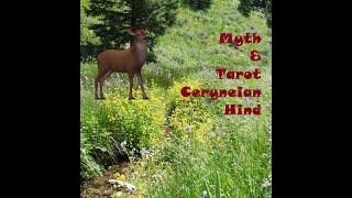 Myth & Tarot: Ceryneian Hind