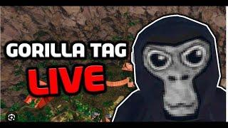 Playing gorilla tag with viewers! 