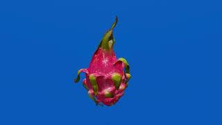 dragon fruit 360 rotation blue screen