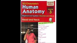 PERFECT SCHEDULE FOR ANATOMY|TOPICS TO READ|NEET MDS-Dr.Vikram C