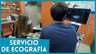 SERVICIO DE ECOGRAFÍA VETERINARIA 24H - HOSPITAL VETERINARIO PRIVET