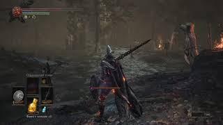 Прохождение Dark Souls 3 : Уголь Знатока и Кольцо Фаррона