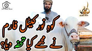 GIFT by Kohinoor Cattle Farm for Cattle Market Karachi | Bakra Eid 2022