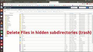 How to Show Hidden Files cpanel File Manager