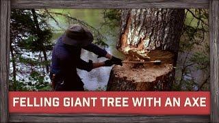 Felling Giant Tree with an Axe!