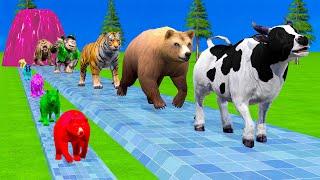 Paint & Animals Cow,Ferdinand,Tiger,Monkey,Bear,Lion Fountain Crossing Transformation Animal Cartoon