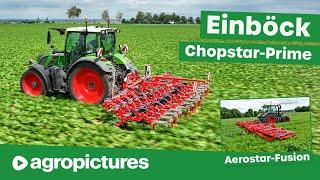 Einböck row crop cultivator Chopstar-Prime tined weeder Aerostar-Fusion machinery test