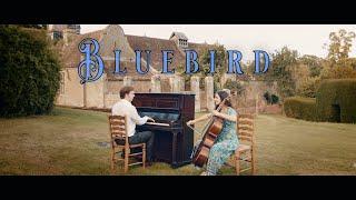 Luke Faulkner & Vesislava | "Bluebird" Music Video