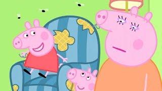 小猪佩奇 | 精选合集 | 60分钟 | 猪爸爸的旧椅子 | 粉红猪小妹|Peppa Pig Chinese |动画