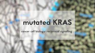 Cancer cell biology: mutated KRAS & reciprocal signalling