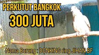 MANTAB PERKUTUT DI TAWAR 300 JUTA PEMILIK JIHAN BIRD FARM PASURUAN || MASTERAN PERKUTUT BANGKOK