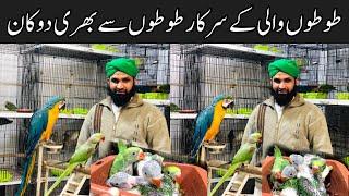 College Road Birds Market Rawalpindi | Macaw,Grey Parrot,Raw,Amazone & parrot chicks Parrot prices