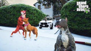 LADY VE BARBİE TERMİNATÖR İÇİN KAVGA EDİYOR! PİTBULL AİLESİNDE OLAY! - GTA 5