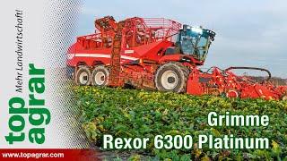 Grimme Rexor 6300 Platinum im top agrar Fahrbericht