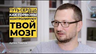 Узнай, как гормоны контролируют твой мозг / Артем Павлов / ПУТЬ СЕРДЦА #21