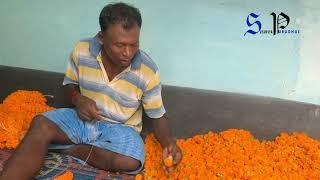 Marigold farming || VLOG|| BADHA HANSDA PURUDHUL