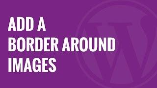 How to Add a Border Around an Image in WordPress