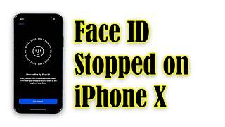 iPhone X Face ID feature stopped working after iOS 14 update