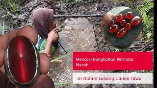 BERBURU BAHAN BATU AKIK RAFLESIA BENGKULU LANGSUNG DARI LAHANNYA