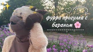 Фурри прогулка с бараном! 