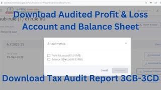 How to Download Audited Profit & Loss Account, Balance Sheet and Tax Audit Report 3CB - 3CD