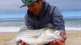 California Surf Fishing Vlog - Striped Bass, Surfperch, and more!