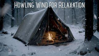 Howling Wind & Blizzard Sounds for Relaxation