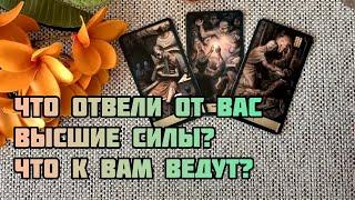 ЧТО ОТВЕЛИ ОТ ВАС ВЫСШИЕ СИЛЫ?.. и ЧТО К ВАМ ВЕДУТ?..️ Гадание Таро