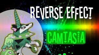 Camtasia Tutorial- Reverse Animal Effect