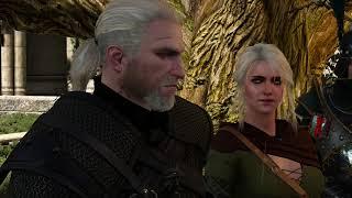 The Witcher 3: Цири и Геральт. встреча с Эмгыром.