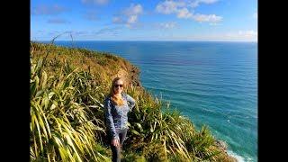 Mercer Bay Loop Track - Auckland, New Zealand | Caths World