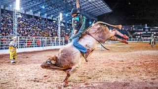 Rodeio da EMAPA de AVARÉ 2024 / FINAL COPA PERERÊ (SEXTA / MELHORES MOMENTOS)