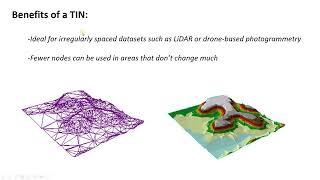 What is a Triangular Irregular Network (TIN)?  (C14, V4)