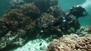 Virtual dive the Great Barrier Reef with "Seaview"