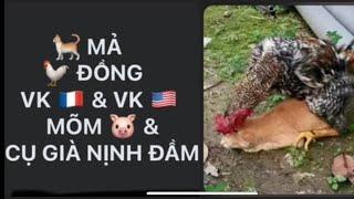 153. Vk  và vk : 1 cặp  MẢ  ĐỒNG trên lai trim 49/ linh bùi knyt