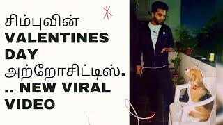 Celebrities Valentine's Day celebration and simbu'zz deal(Viral video)