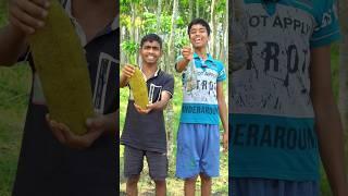 Green Baby Jackfruit Curry With Big Prawn | Echor Chingri Cooking With A Traditional Village Style.