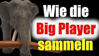 Wie die Big Player sammeln