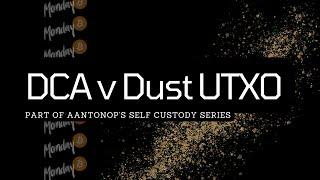 Buying Bitcoin Using Dollar Cost Averaging & Avoiding Dust UTXO - Self Custody Series - Feb 2024