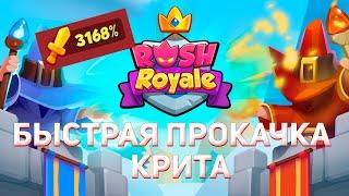 Быстрая прокачка крита в Rush Royale