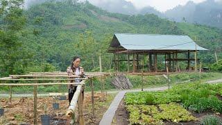 Build a Wooden House in 2024, Build a large vegetable garden, Family farm | Step by Step