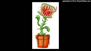 [FREE] LIL DARKIE x NASCAR ALOE TYPE BEAT "VENUS FLYTRAP" (PROD. BRONK)