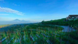 ISTIMEWA , MENUJU KAMPUNG CANTIK YANG MENDAMAIKAN SAMPING TOL KAHYANGAN