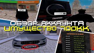 ОБЗОР АККАУНТА НА 700КК & БИЗНЕС И БЛАТ НОМЕРА AMAZING ONLINE (GTA CRMP) ️