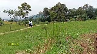 LAGI VIRAL!!!! kampung gadis desa, NANDA BULE, gadis keturunan bule belanda