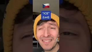 Slavic Languages meets  #tiktok #comedy #slavic