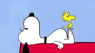 Snoopy and Woodstock - Compilation 5