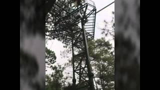 Tree Drop - Baguio Tree Top Adventure v3