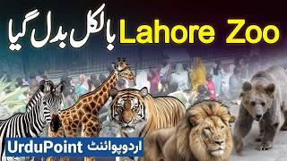 Lahore Zoo Mein Billions Rupees Ki Renovation Kar Ke New Animals And Birds Bhi Kharid Liye Gaye